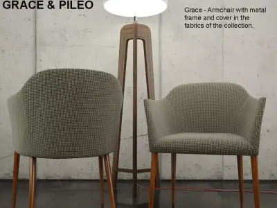 Porada Grace and Porada Pileo 3D model