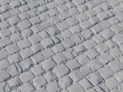 Old Cobblestone Street With Moss Texture