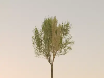 PSX PS1 Styled Low Poly 3D Model of a Tree Low-poly 3D model