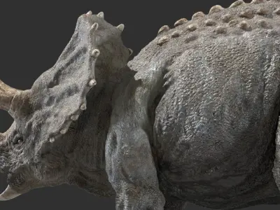  triceratops 3D 