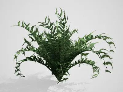 Western Sword Fern bush Low-poly 3D model