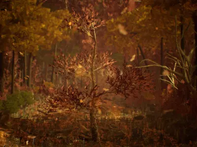 Deciduous Trees 200 Assets Low-poly 3D model