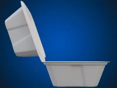 Compostable Food Container - Disposable 3D model