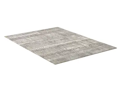 TAARA HAND-KNOTTED WOOL RUG 3D model