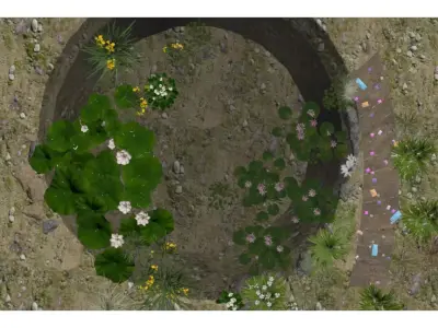 Aquatic Plant Landscape 3D model