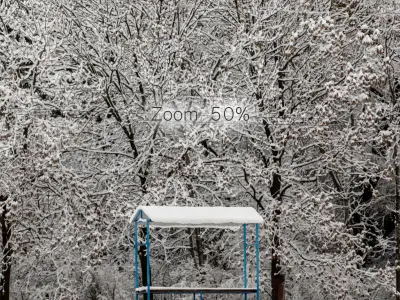 Panorama of the park and snow-covered trees - 45k 3D model