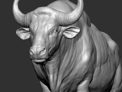  Gaur Bos gaurus VFX most Zbrush Sculpture Digitale 