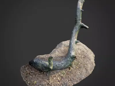 nature forest roots 004 3D model