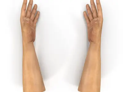  Man Hands 2 Rigged for Cinema 4D 