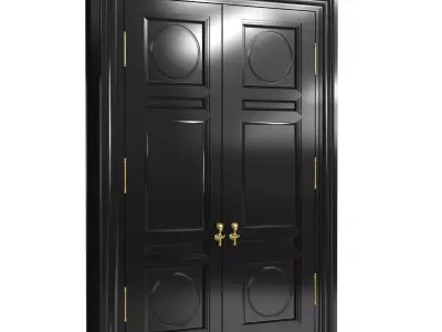 Custom made black lacquer classic double door  3D model