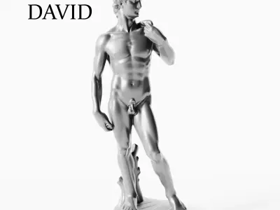 David Renaissance  Sculpture 3D model