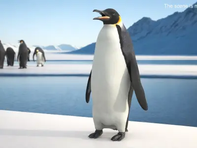  Large Penguin Bird Black White Rigged for Cinema 4D 