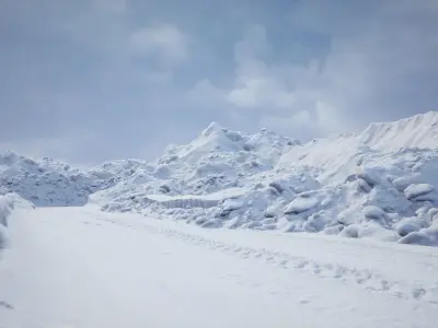 Big Snow collection  2022  Low-poly 3D model