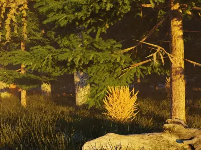 Autumn forest 3D model