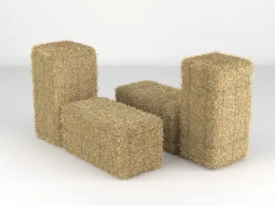 Hay Bale 3D model
