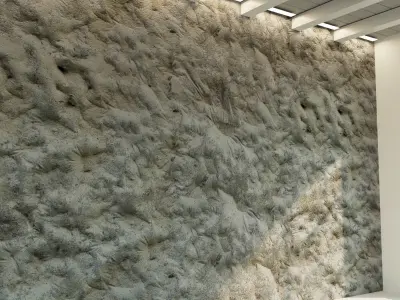 Concrete wall Old concrete 43 Texture