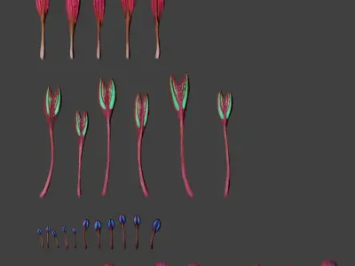 Glowing alien herbs 1 Low-poly 3D model