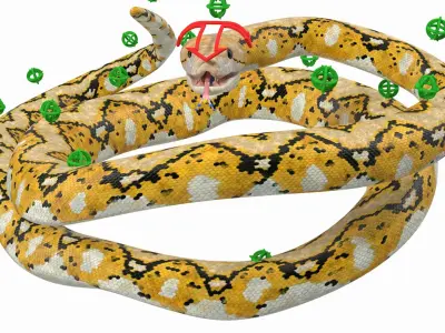  Reticulated Python Rigged for Maya 