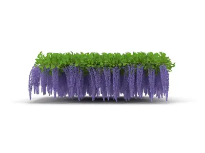 Wisteria ceiling 3D model