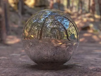 HDR FOREST PATH 2 3D model