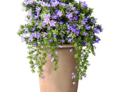 Petunia flower bed bouquet plant in decorative vase pot 3D model