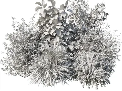 Collection mixed plants bush palm - shrubs set 06 Low-poly 3D model