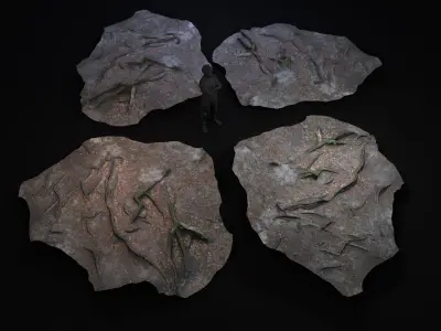 Beech forest ground - 6 of 6 - scan PBR Game ready Low-poly 3D model