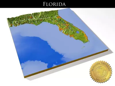 Florida High resolution 3D relief maps 3D model