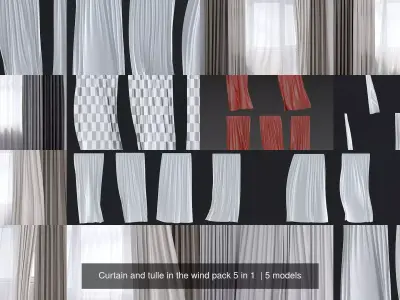 Curtain and tulle in the wind pack 5 in 1 