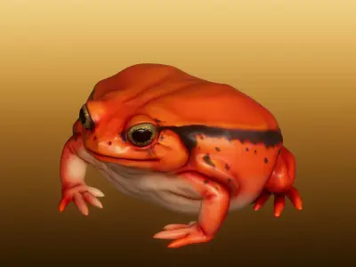 Tomato Frog 3D print model