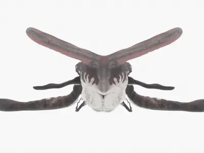 Tulkun from Avatar Rigged 3D Model Low-poly 3D model