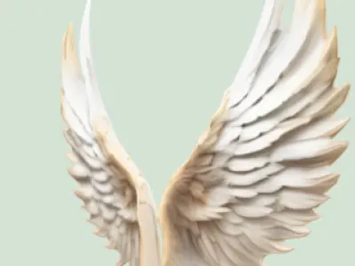 angles paired wings Low-poly 3D model