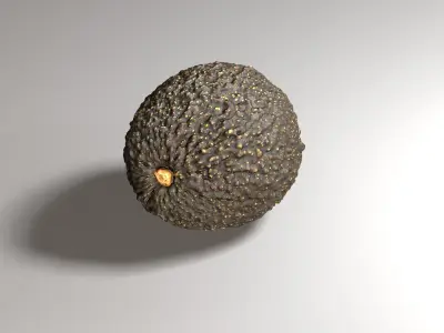 Avocado - Photorealistic Scan  Low-poly 3D model