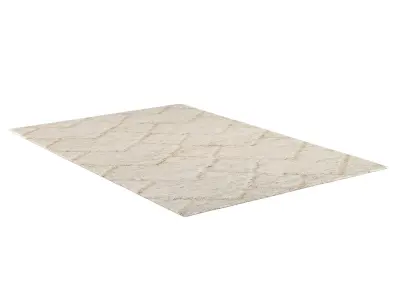  ADHAR JUTE RUG 3D model