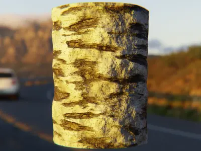 Procedural White Birch Bark Texture - Seamless PBR Material Texture