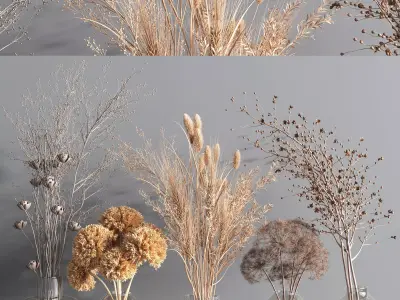 Collaction Plants Bouquet 2 3D model