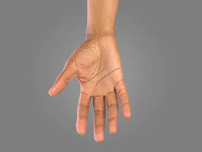  Multi Bare Arms Fully Rigged 