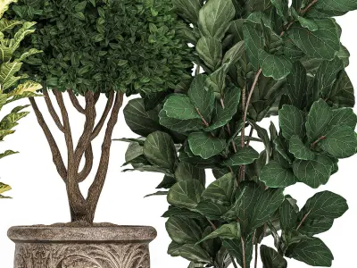 Trees in classic flowerpots for the street parks and garden 493 3D model