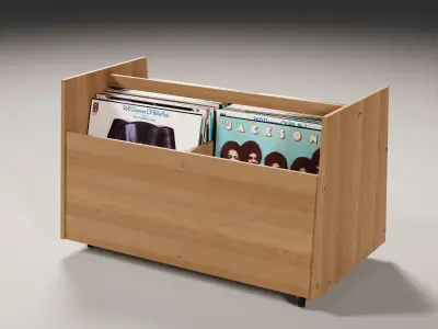 Vinyl Storage No51 3D model