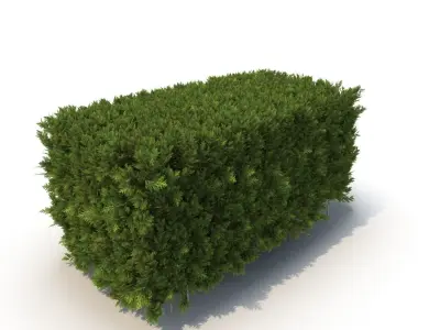 Hedge 3D model