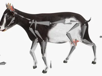  Domestic Goat Rigged for Blender 