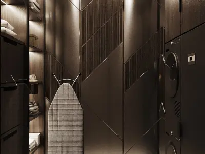 Dark Brown Laundry Room 2017 3D Scene 3D model