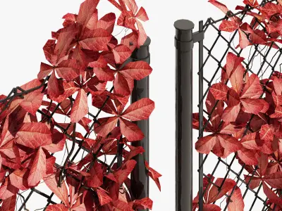 Ivy on fence two 3D model