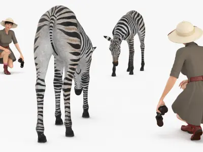  Explorer and Zebra Foal 