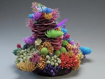  Coral Reef 02 