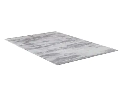NAHATA SILK and WOOL RUG 3D model