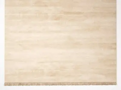 Punk Rectangular Rugs 3D model