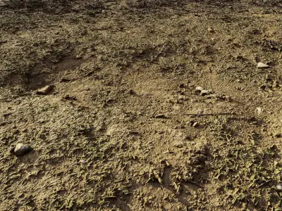 dirtpathscan06102024 3D model