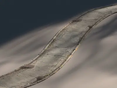 Cracked asphalt path 3D model