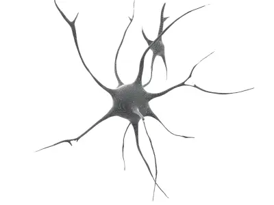 Neurons v1 001 Low-poly 3D model